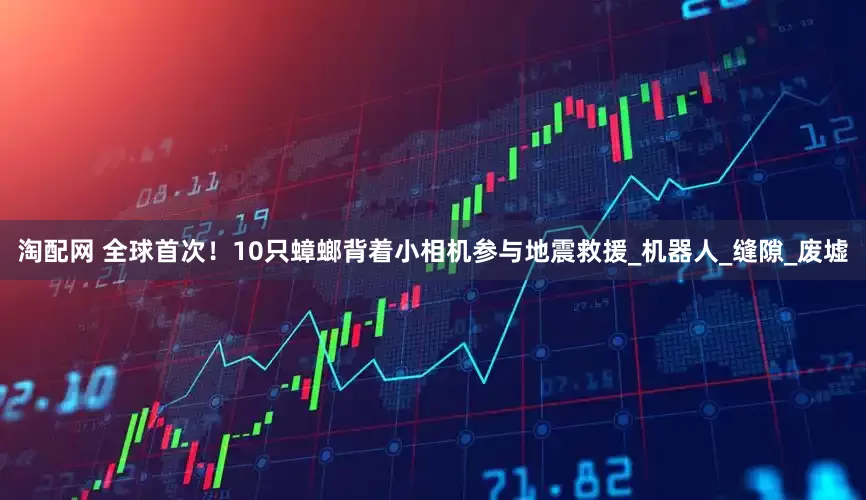 淘配网 全球首次！10只蟑螂背着小相机参与地震救援_机器人_缝隙_废墟