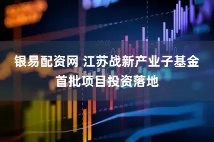 银易配资网 江苏战新产业子基金首批项目投资落地