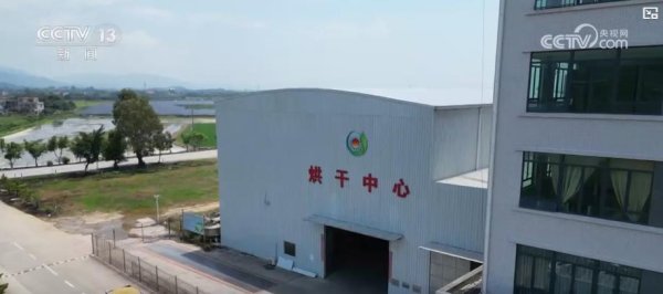 正好配资 早稻收获“加速跑”：单产提升行动显成效 丰收基础稳