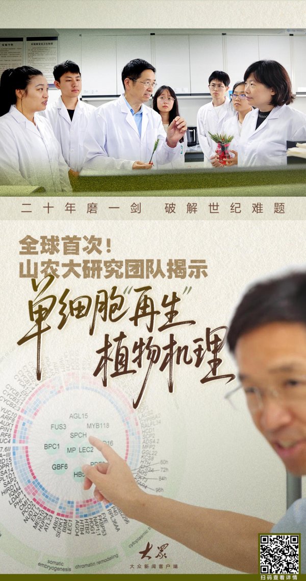 世纪汇通 中国团队解锁世纪难题！全球首次揭秘单个体细胞“变”完整植株