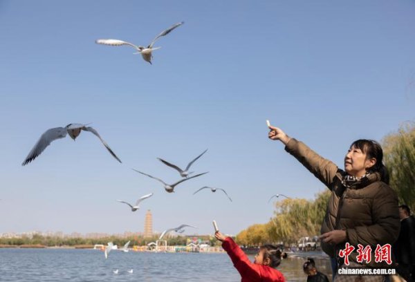 七星 银川 “十四五” 生态答卷：从 “盼蓝天” 到 “享生态” 的幸福蝶变
